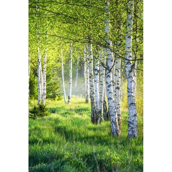 Obrázky: Stojan na telefón z dreva brezy, Obrázok 10